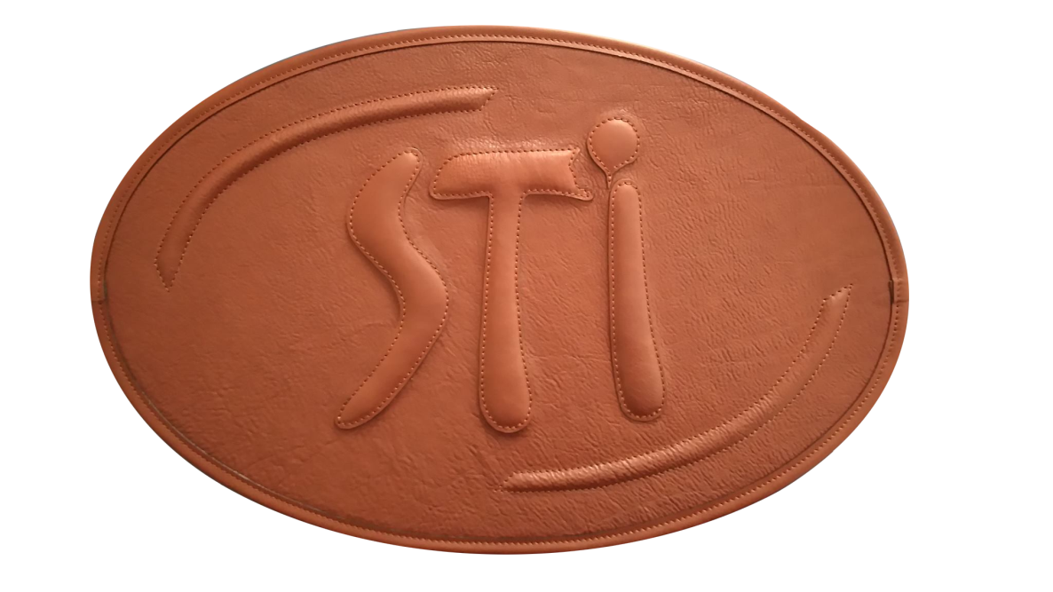 STI_logo mare png
