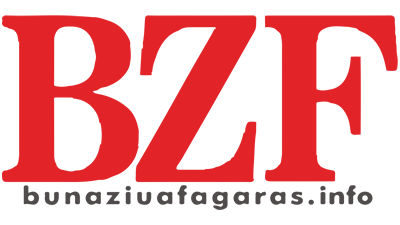 logo-BunaZiuaFagaras